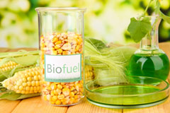 Dunton Bassett biofuel availability